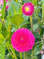 IMG_4668.webp