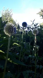 20250630_185743.webp