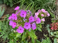 IMG_7263.webp