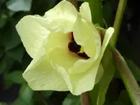 017.webp