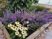 IMG_20250715_182110.webp