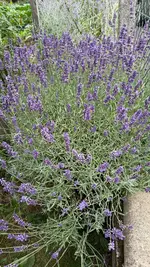 IMG_5079.webp