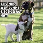1737240711758.webp