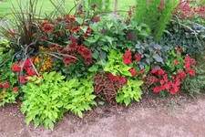 IMG_2435.webp
