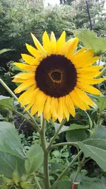 20250717_174015.webp