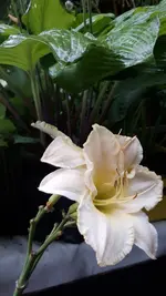 20250717_161029.webp