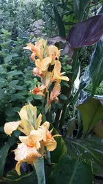 20250717_174850.webp