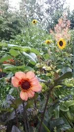 20250717_174051.webp