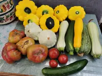 IMG_20250715_153450.webp
