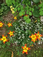 IMG_20250714_111915.webp