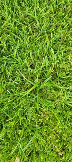 20250704_184716.webp