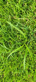 20250704_184634.webp
