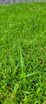 20250704_184622.webp