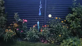 20250718_215417.webp