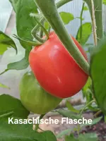 20250719_103012.webp