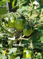 20250719_103423.webp