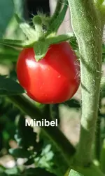 20250719_103327.webp