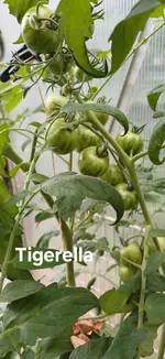 20250720_095755.webp
