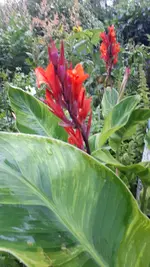 20250717_174904.webp