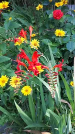 20250718_191546.webp