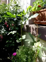 023.webp 023.webp