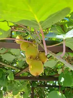 20250720_103524.webp