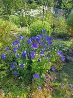 20250720_100000.webp
