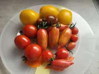 20250720_173930.webp