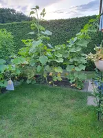 20250721_211658.webp