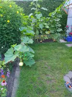 20250721_211706.webp