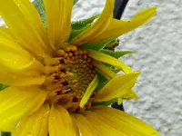 008.webp