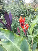 20250722_190707.webp