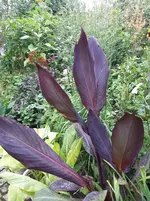 20250722_190713.webp