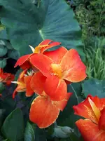 20250722_190852.webp