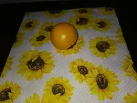 IMG_20230715_193859.webp