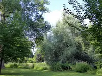 058.webp