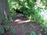 060.webp