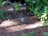 063.webp