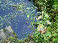 081.webp