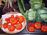 Ernte 25.07.25.webp