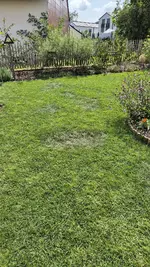 IMG-20250725-WA0002.webp
