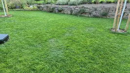 IMG-20250725-WA0006.webp