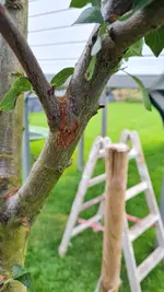 20250725_202632.webp