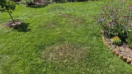IMG-20250726-WA0009.webp