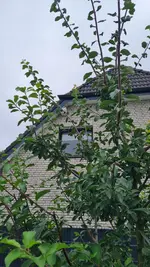 20250727_110301.webp