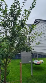 20250727_110332.webp