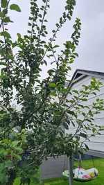 20250727_110346.webp
