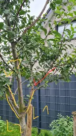 20250727_110542.webp