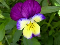 030.webp