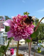 025.webp